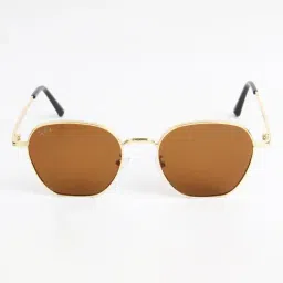 Ted Smith Brown UV Protection Hexagon Unisex Sunglasses image 2