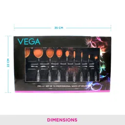 VEGA MBS-10 Pro-Ez Set Of 10 Professional Make-Up Brushes image 2