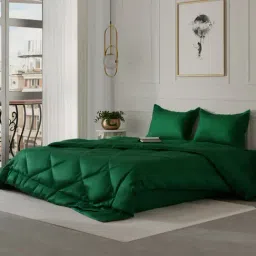 Stoa Paris Date Night Green Polyester 150 GSM Double-Sized Comforter - Set of 1-picture-21