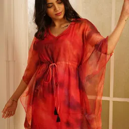 Medh A-Line Dress image 4