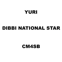 Yuri Dibbi National Star Spare for Marble Cutter CM4SB-picture-28