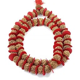Divine souvenirs Brown Alloy Necklace-picture-26