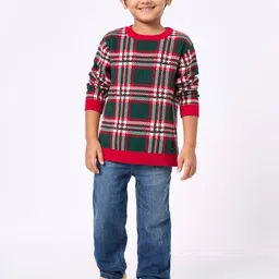 Ed-a-Mamma Boys Checked Round Neck Pullover Sweater-picture-28
