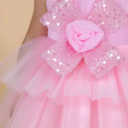 Lagorii Girls Net Floral Embellished & Sequins Layered Fit and Flare Dress image 4