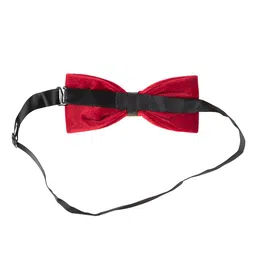 Alvaro Castagnino Microfibre Bow Tie image 2