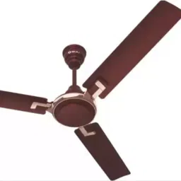 Bajaj Sabse Tezz Deco Wine Red 1200 mm Ceiling Fan 251237-picture-18