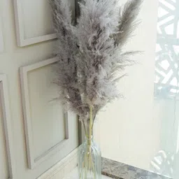Arte Casa Imported Charcoal Pampas - XL image 4