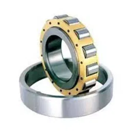 SKF Imported Single Row Cylindrical Roller Bearing, Inner Dia 55 mm, Outer Dia 100 mm, Width 25 mm, NJ2211ECP image 3