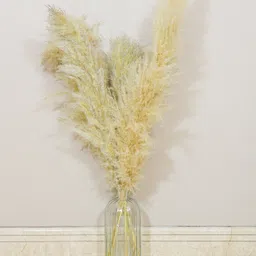 Arte Casa Imported Ivory Pampas - XL image 1