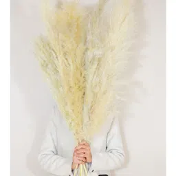 Arte Casa Imported Ivory Pampas - XL image 2