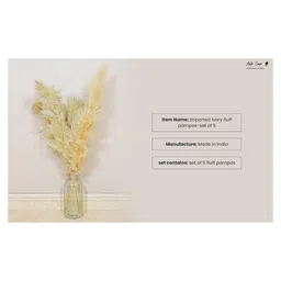 Arte Casa Imported Ivory Pampas - XL image 3
