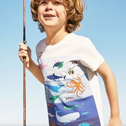 LULU & SKY Boys Printed Pure Cotton Applique T-shirt-picture-29