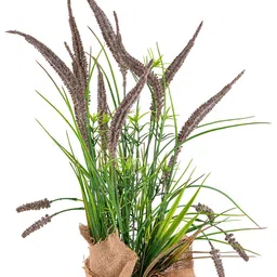 AARVI DECOR STUDIO Brown & Green Artificial Flower With Pot image 2