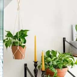 Aain White Wall Fabric Hangings-image-11