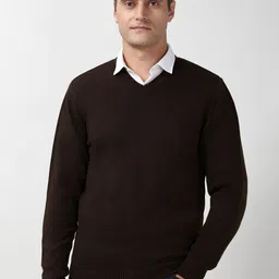 Peter England Casuals Men V-Neck Pullover-picture-12