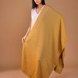 SWI Stylish Women Woven Design Fringed Ombre Stole image 4