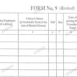 Form No 9 (Revised) Register ; Size :- 32cm*20cm 50 Sheet_Pack of 2 Form No 9 (Revised) Register Pack of 2 1-Part PAPER-image-44