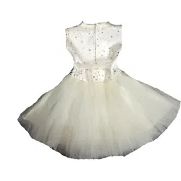 DRESS COLLECTION Georgette Maxi Dress image 2