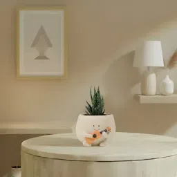 Rocking Zebra Succulent In Guitar Buddy Pot-picture-11