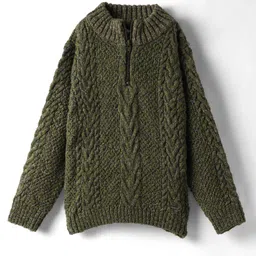 Yellow Apple Knit Full Sleeves Pullover Sweater With Cable Knit Design - Olive Green-picture-27