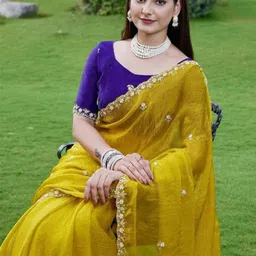 sanjana  silk SANJANA SILK Embellished Embroidered Pure Chiffon Saree-picture-23