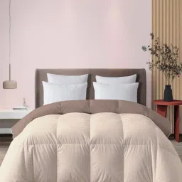 MULBERRY LIVING Double Sand & Coco Reversible Comforter(Queen)-image-67
