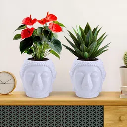 Kuber Industries 2Pcs White Lord Budha Face Shaped Flower Planters image 2