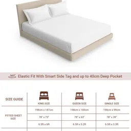 PIZUNA LINENS Beige 400 TC Queen Cotton Bedsheet With 2 Pillow Covers image 4