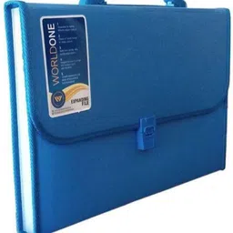 Classic File Folders-picture-10