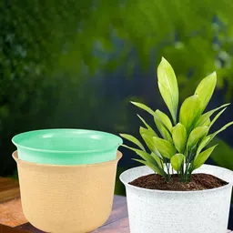 Kuber Industries 3Pcs White & Beige Textured Planters With Plate image 1