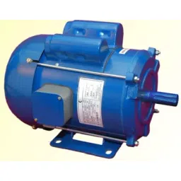 CG Power Single Phase 3 HP 4 Pole Foot Mounted Induction Motor GF6567 image 1