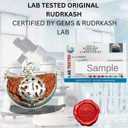ASTRO CARE INDIA One face ek Mukhi Rudraksha Certified Original Nepali 1 Mukhi Kaju Rudraksh Natural one Faced Rudraksha Pendent (Brown) with Certificate image 5