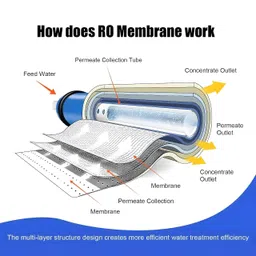 Orvino® 100 GPD RO Membrane | Compatible with All RO Water Purifiers | High-Performance Membrane up to 2000 TDS | Long Life | Clean & Purified Drinking Water image 3