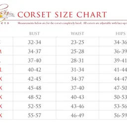 daisy corsets Women's Lavish Lace Corset Dress image 3