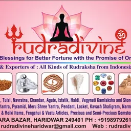 rudradivine Panch Mukhi Hanuman Yantra Card Religious Card to Keep in Wallet for Wealth Lucky God ATM Cards image 3