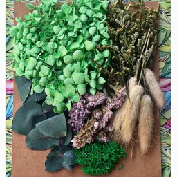 MSGH Dried Flowers for Resin Art - Natural Dry Flowers for Decoration, Candle Making, Soap Making, Nail Art & DIY/Multicolour (Dry Flowers (Green)) image 1