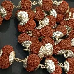 uspto Gauri Shankar Rudraksha Mala Original Certified By Igl Lab Best Collection Naturally Joint Shiv Parvati Ardhnarishwar Pure Nepal Beads With Cap Gowrishankar Rudraksha गोरी शंकर रुद्राक्ष माला image 3