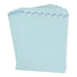GENERIC 15x11 inch Light Green Polynet Envelopes (Pack of 50) image 2