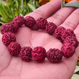 Apnisanskriti Unisex Rudraksha Rakhi 13mm Bracelet image 2