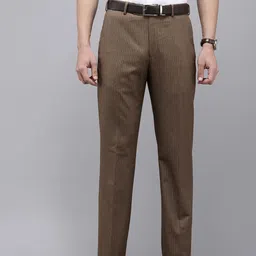 Park Avenue Men Striped Formal Trousers-image-20