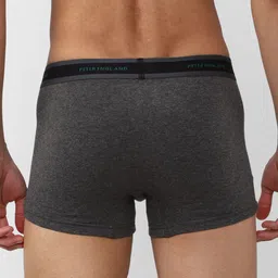 Peter England Men Pack Of 3 Cotton Trunks PETRWRGBP81028 image 3