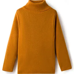 RVK Knit Full Sleeves Ribbed Skivvy Sweater - Mustard Yellow-picture-22