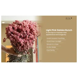 Arte Casa Pastel Pink Daisies Bunch image 2