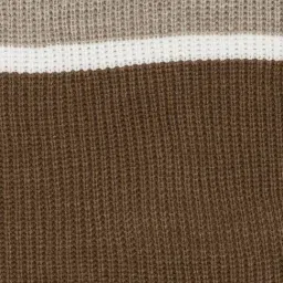 Pantaloons Junior Boys Mocha Bisque Color Block Sweater image 5