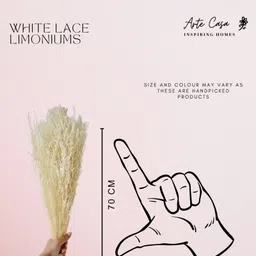 Arte Casa White Lace Limoniums image 3