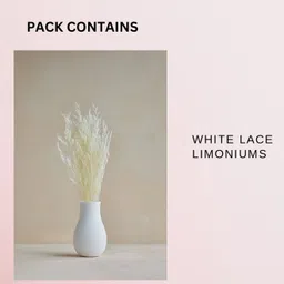 Arte Casa White Lace Limoniums image 5