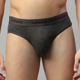 Levis Pack of 2 Smartskin Technology Cotton Briefs with Tag Free Comfort #002A-BRIEF-image-55