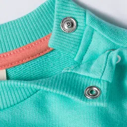 Zero Looper Knit Full Sleeves Sweatshirt with La Tropicana Love From Cuba Parrot Print - Sea Green image 4