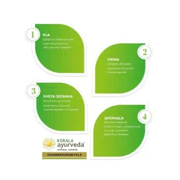 Kerala Ayurveda Dhanwantharam Pills image 4