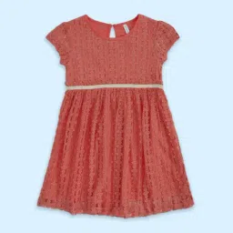 Pantaloons Junior Rust Cotton Self Pattern Dress-picture-32